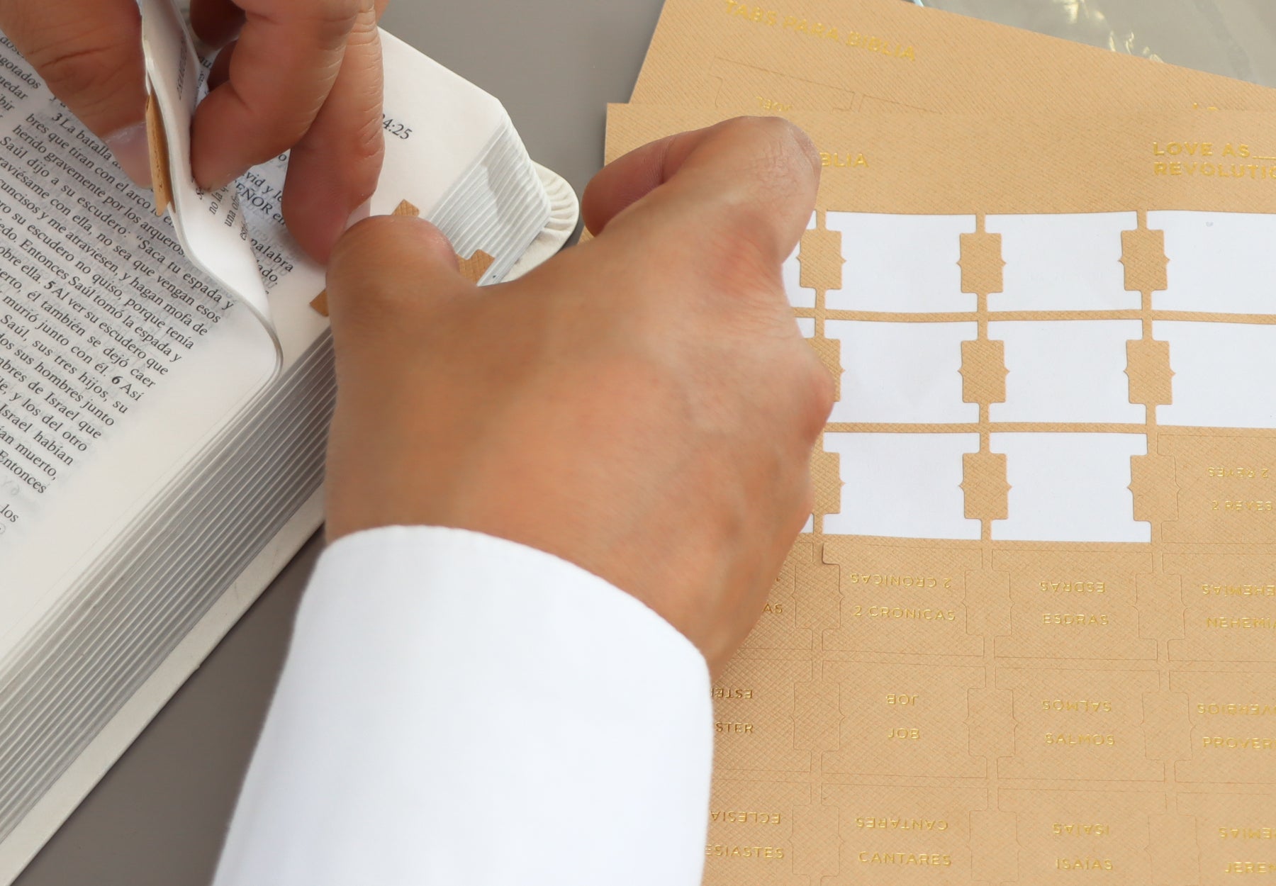 Separadores para Biblia